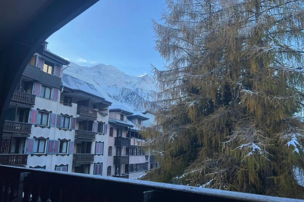 Lyret Furnished Flat Apartment Chamonix